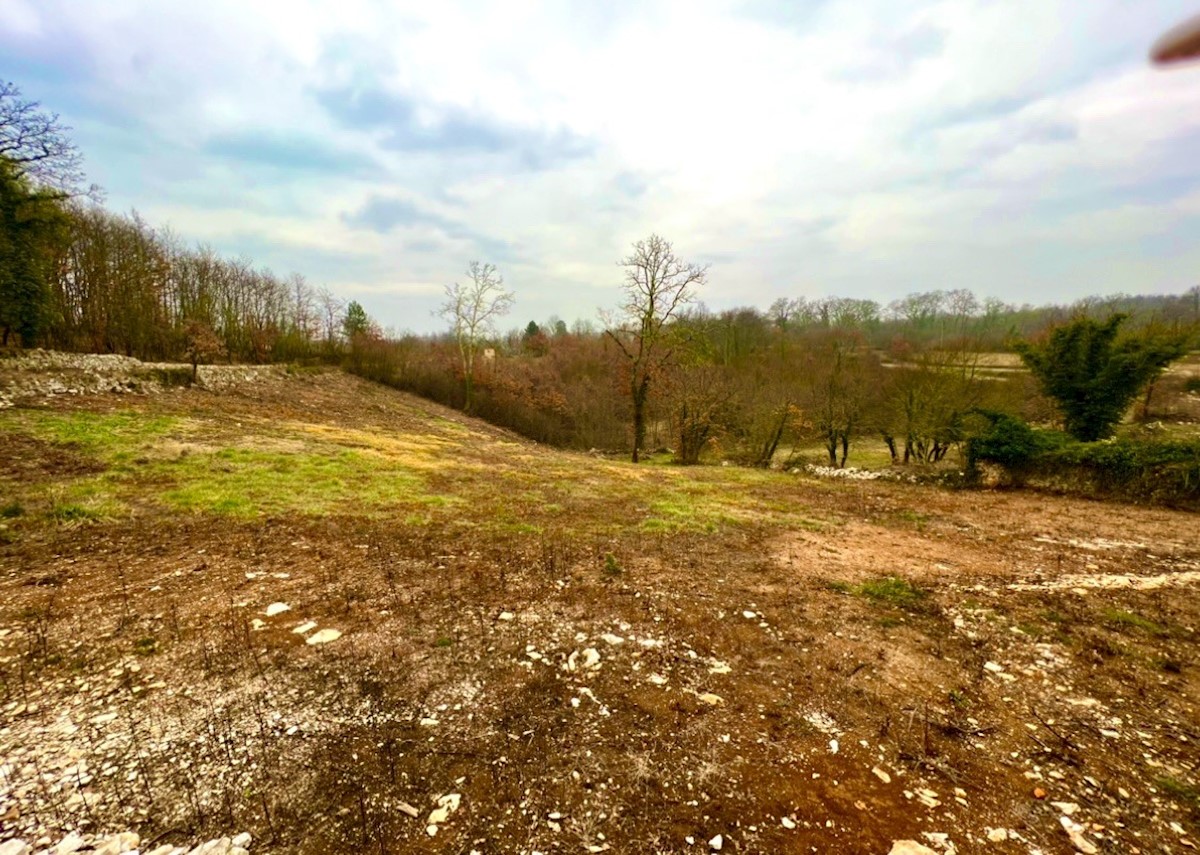 Terreno In vendita - ISTARSKA BARBAN