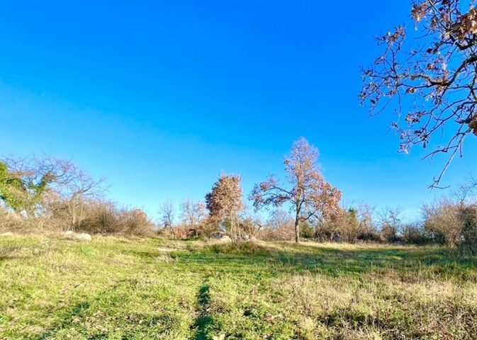 Grundstück zu verkaufen 5947 m² – Orihi