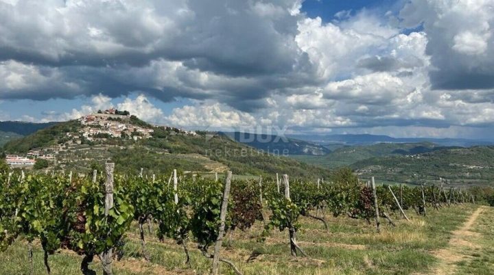 Grundstück zu verkaufen 12000 m² – Motovun