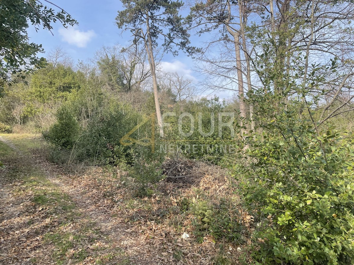 Land For sale POBRI