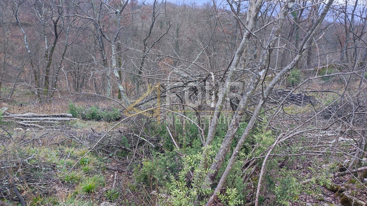 Terreno In vendita - PRIMORSKO-GORANSKA VIŠKOVO