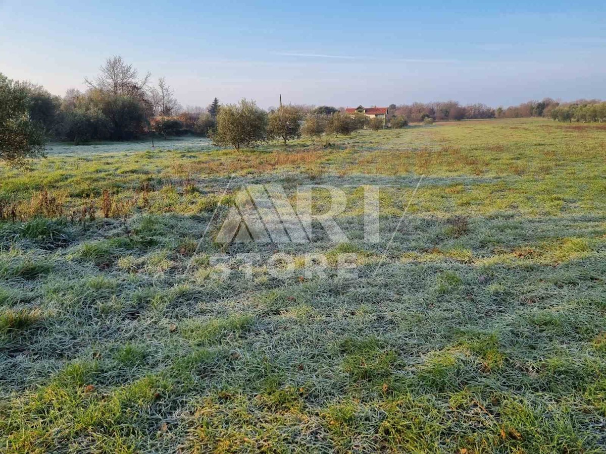 Terreno In vendita - ISTARSKA MARČANA