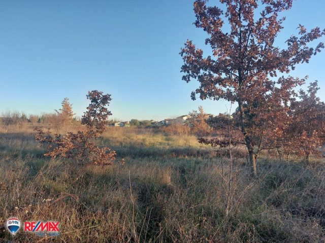 Land for sale 3000 m² – Umag