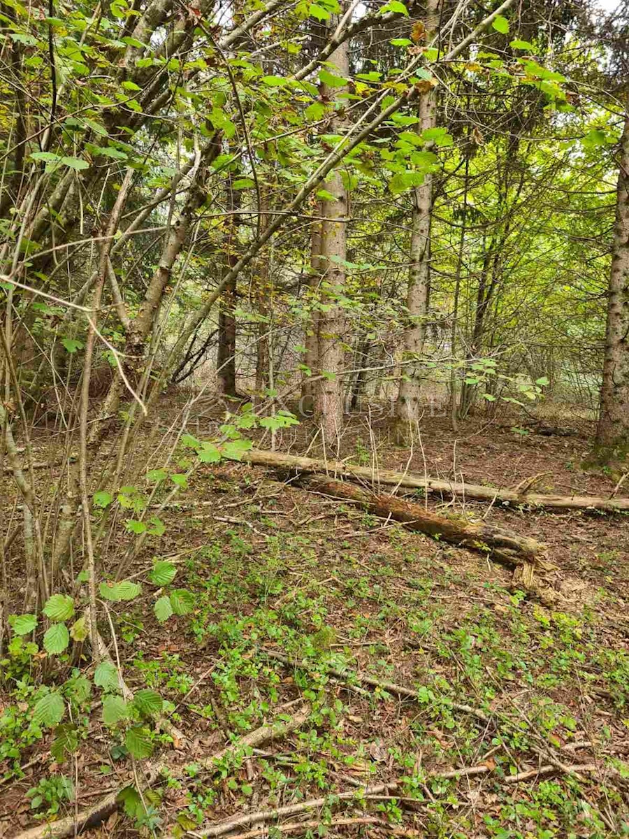 Terreno In vendita - KARLOVAČKA BOSILJEVO