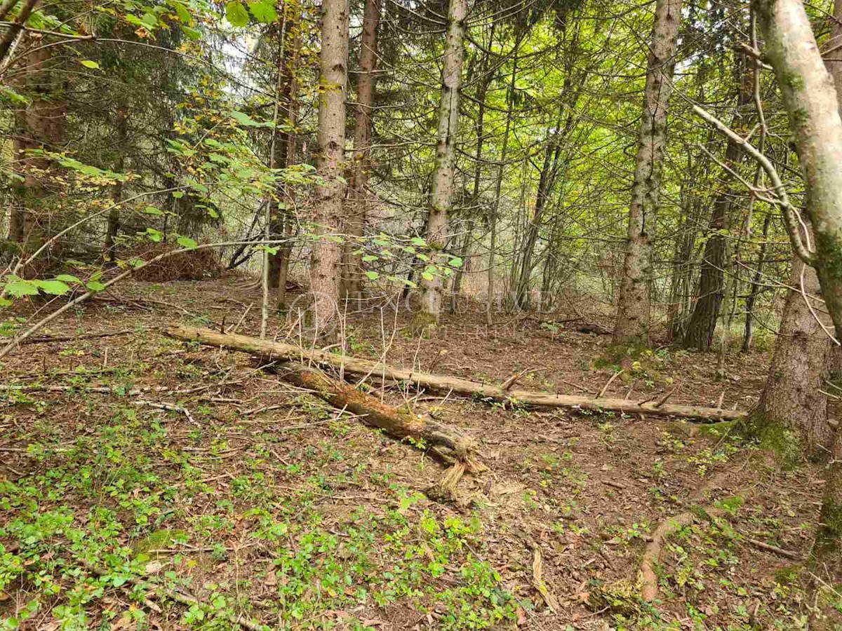 Terreno In vendita - KARLOVAČKA BOSILJEVO