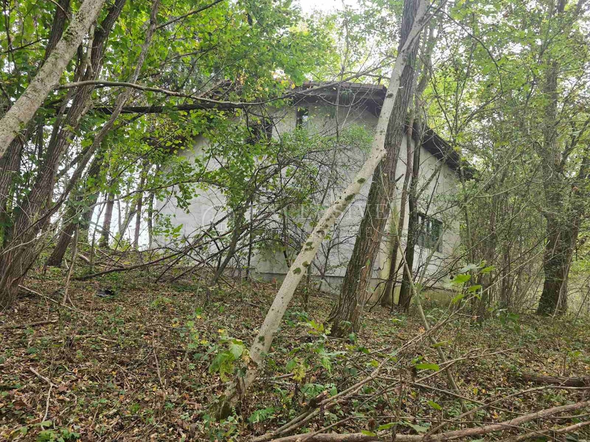 Terreno In vendita - KARLOVAČKA BOSILJEVO