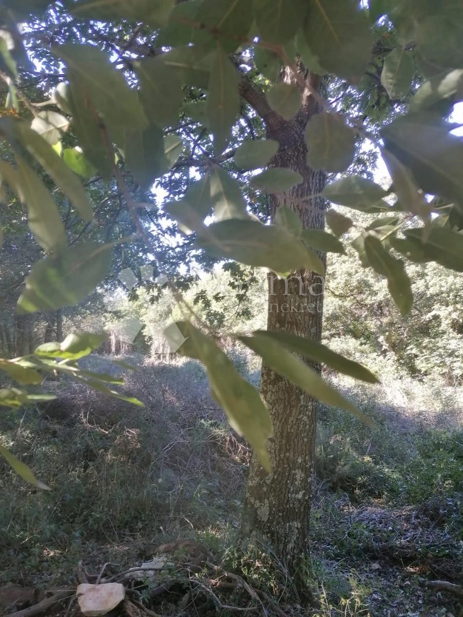 Parcela Na predaj - Istarska Medulin - foto 2/6