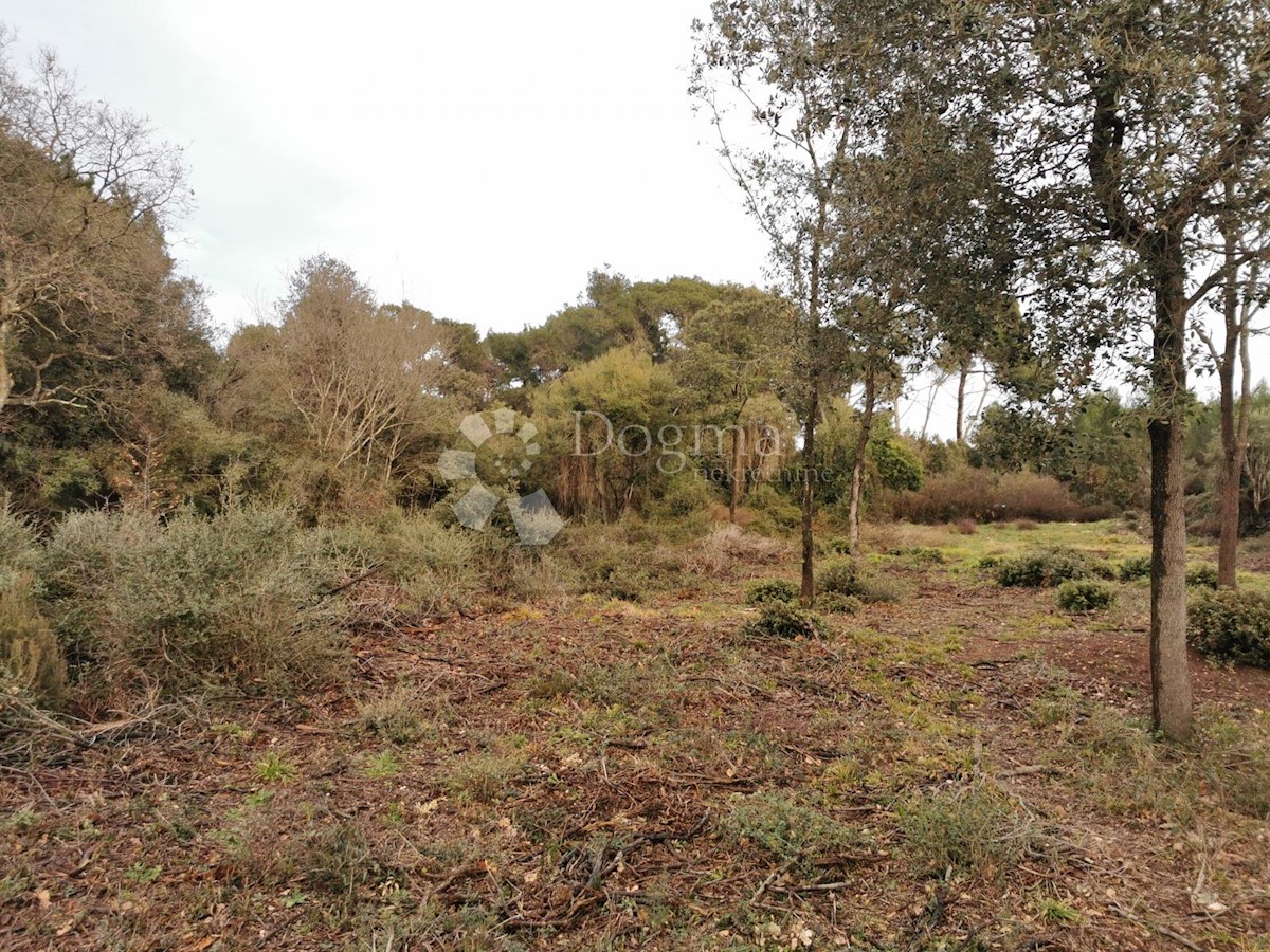 Parcela Na predaj - Istarska Medulin - foto 5/6