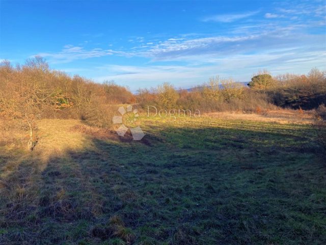 Land for sale 7707 m² – Barban