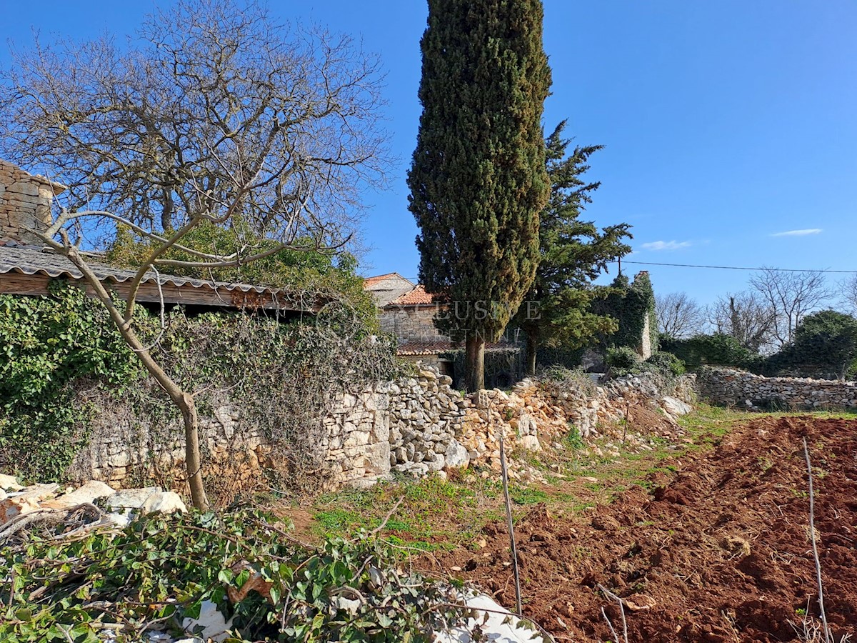 Dom Na predaj - ISTARSKA BARBAN