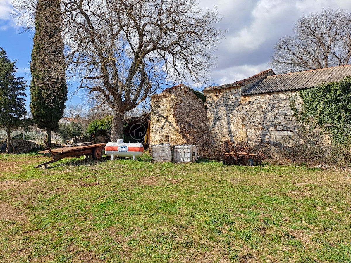 Dom Na predaj - ISTARSKA BARBAN