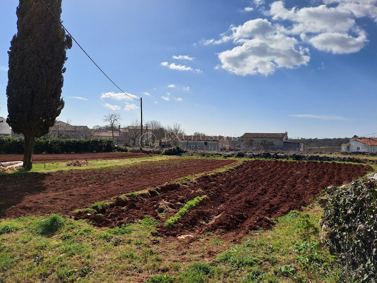 Dom Na predaj - ISTARSKA BARBAN