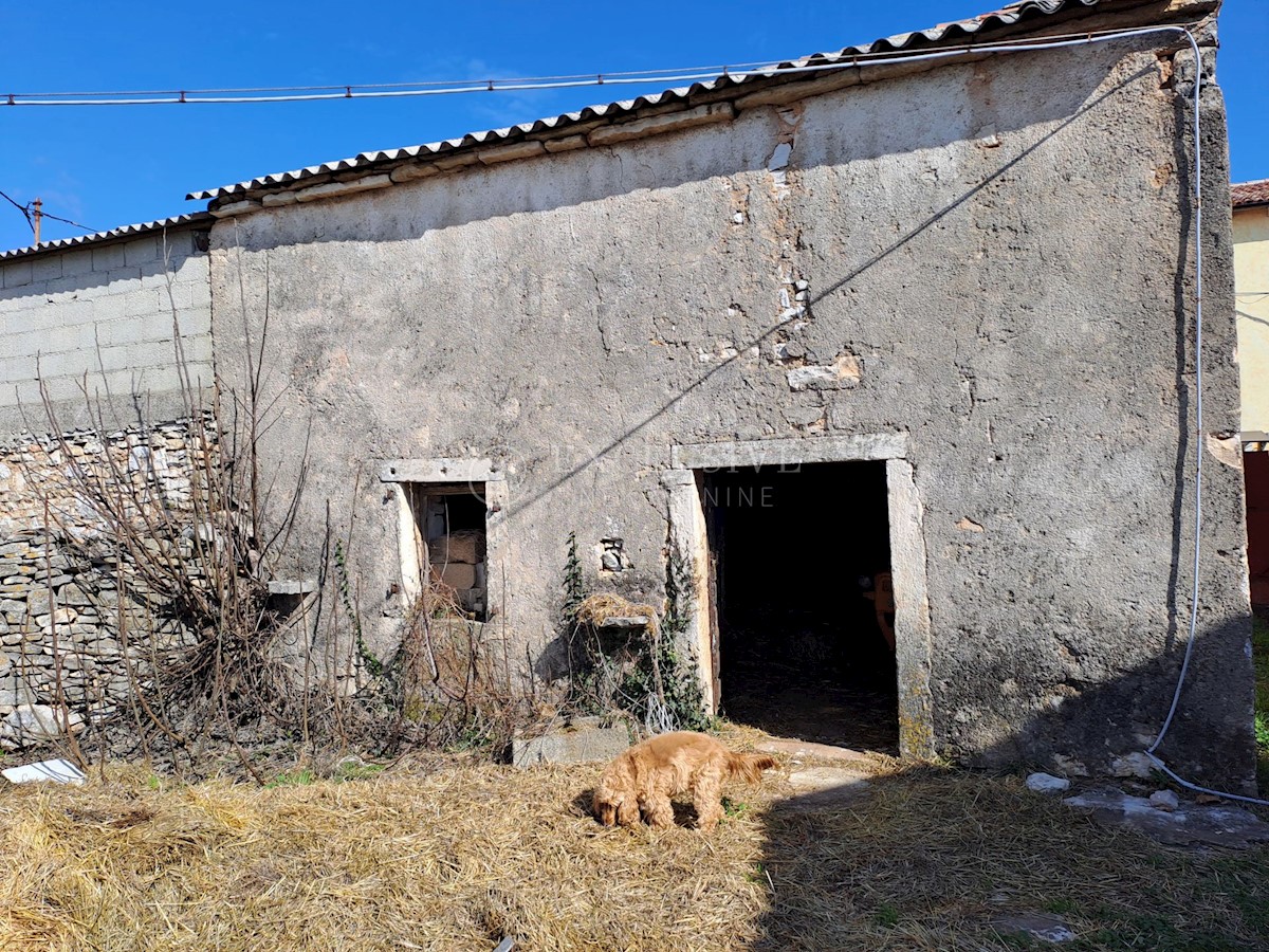 Dom Na predaj - ISTARSKA BARBAN