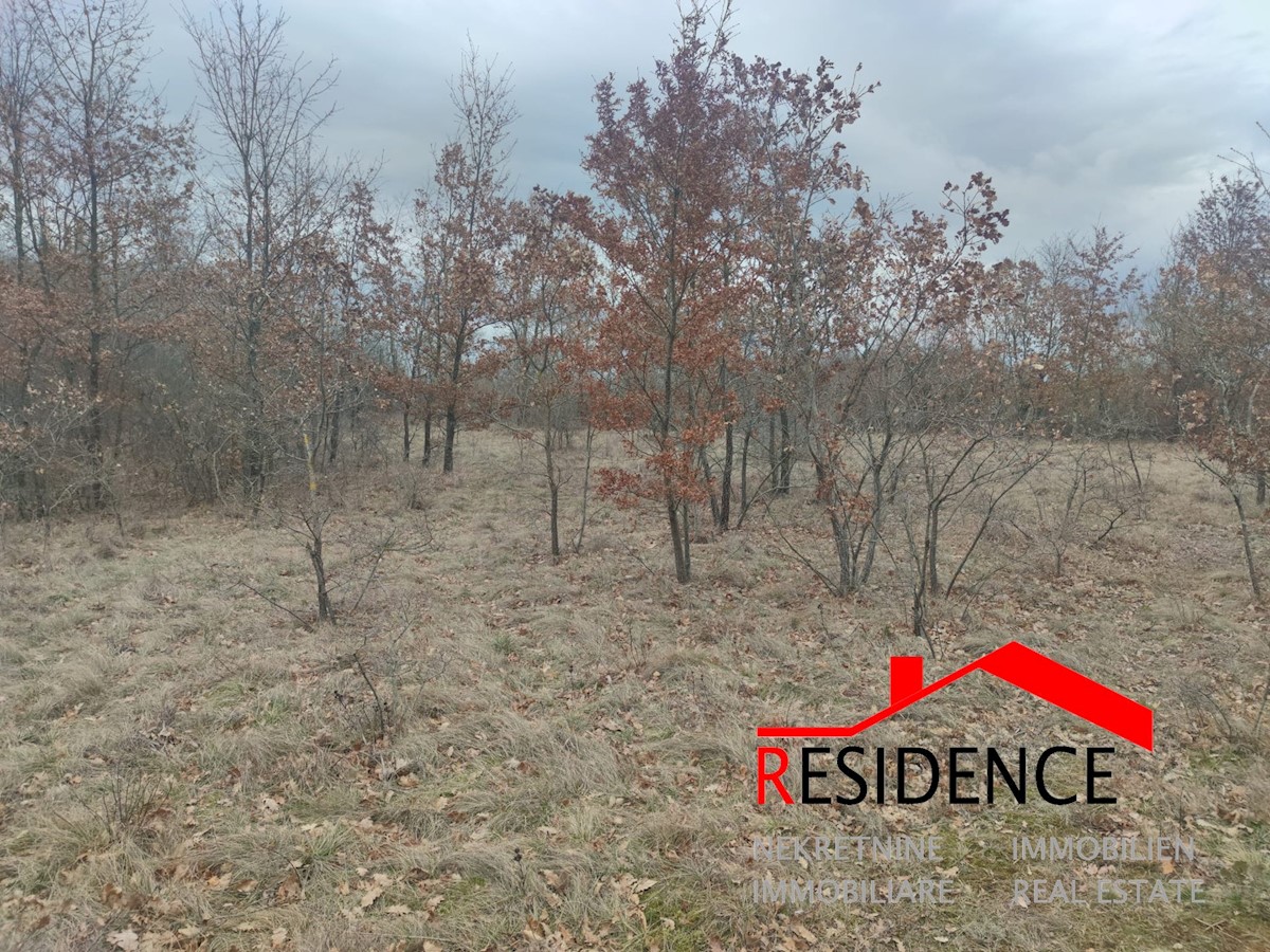 Land For sale - ISTARSKA ŽMINJ