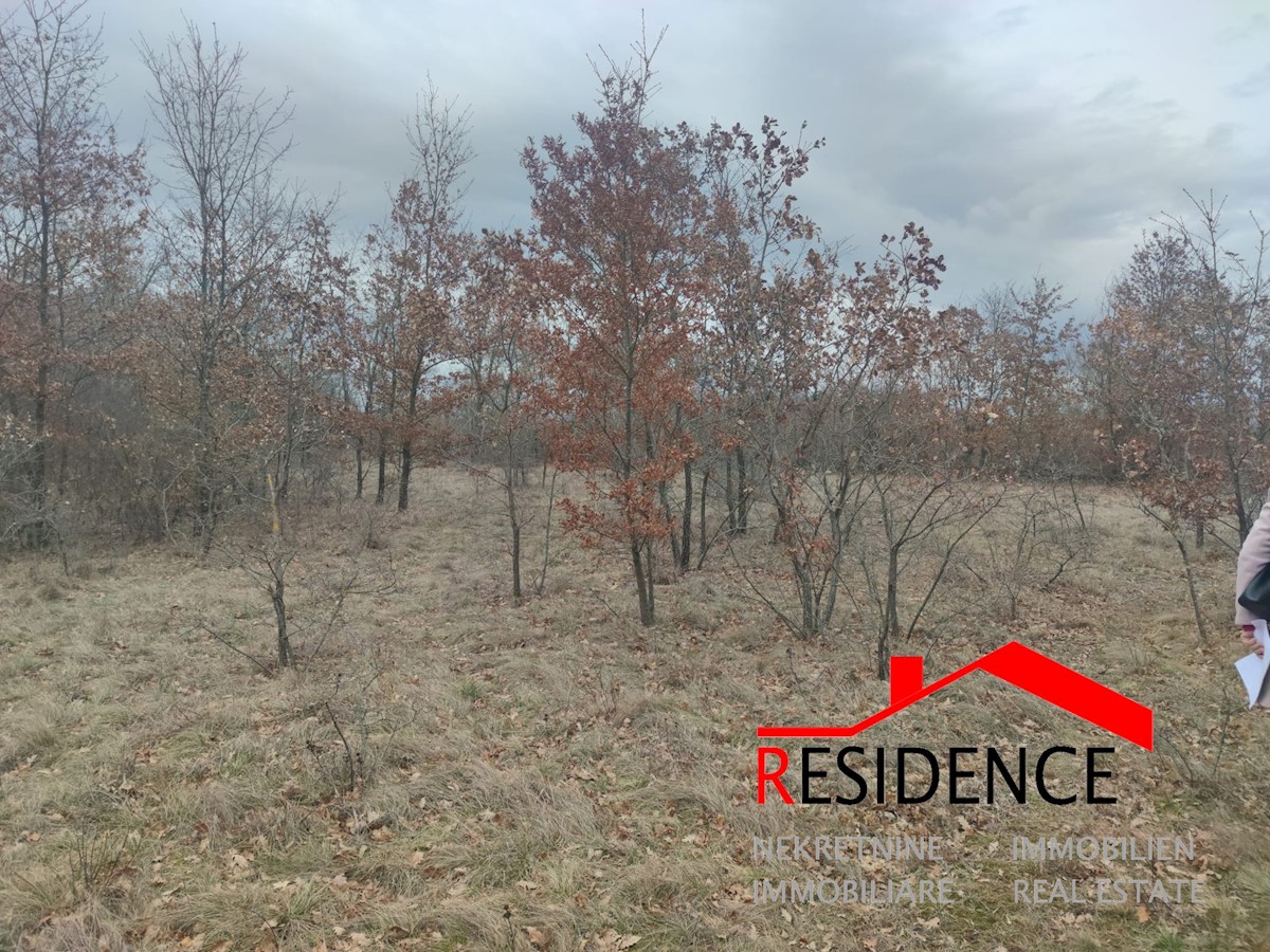 Land For sale - ISTARSKA ŽMINJ