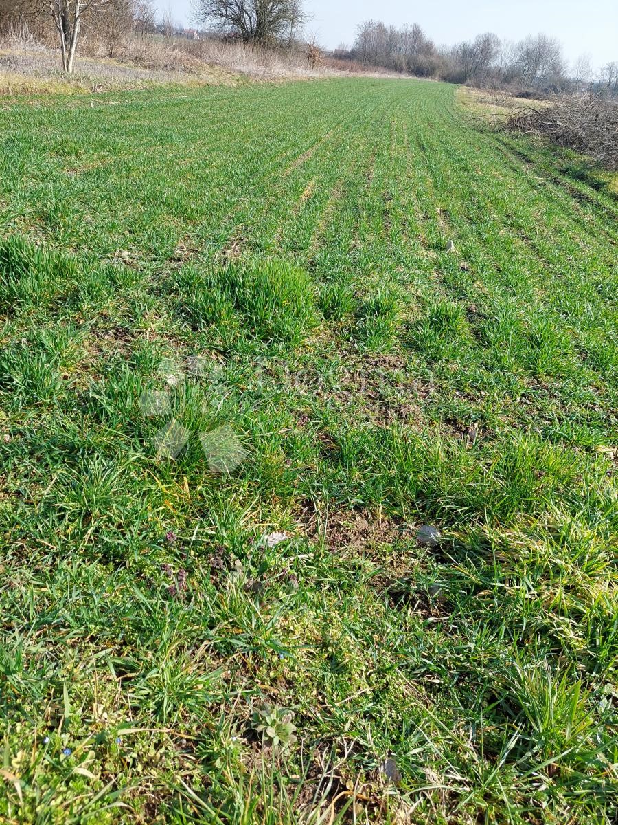 Działka Na sprzedaż - VARAŽDINSKA VARAŽDIN