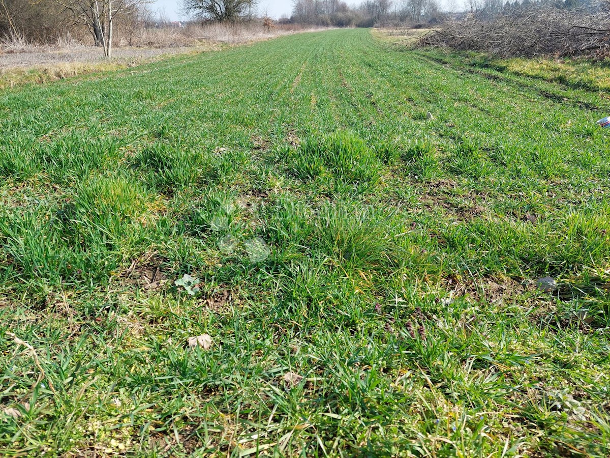 Działka Na sprzedaż - VARAŽDINSKA VARAŽDIN