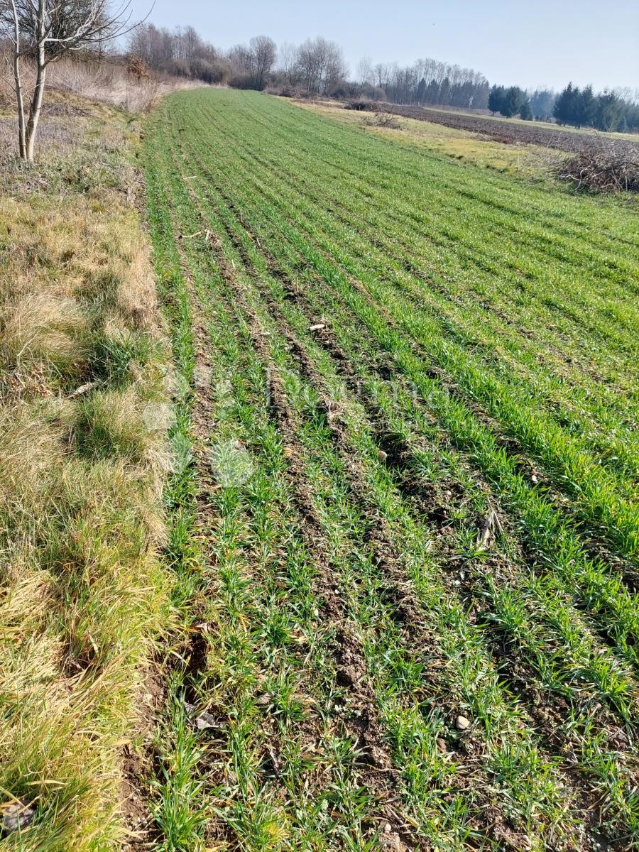 Działka Na sprzedaż - VARAŽDINSKA VARAŽDIN