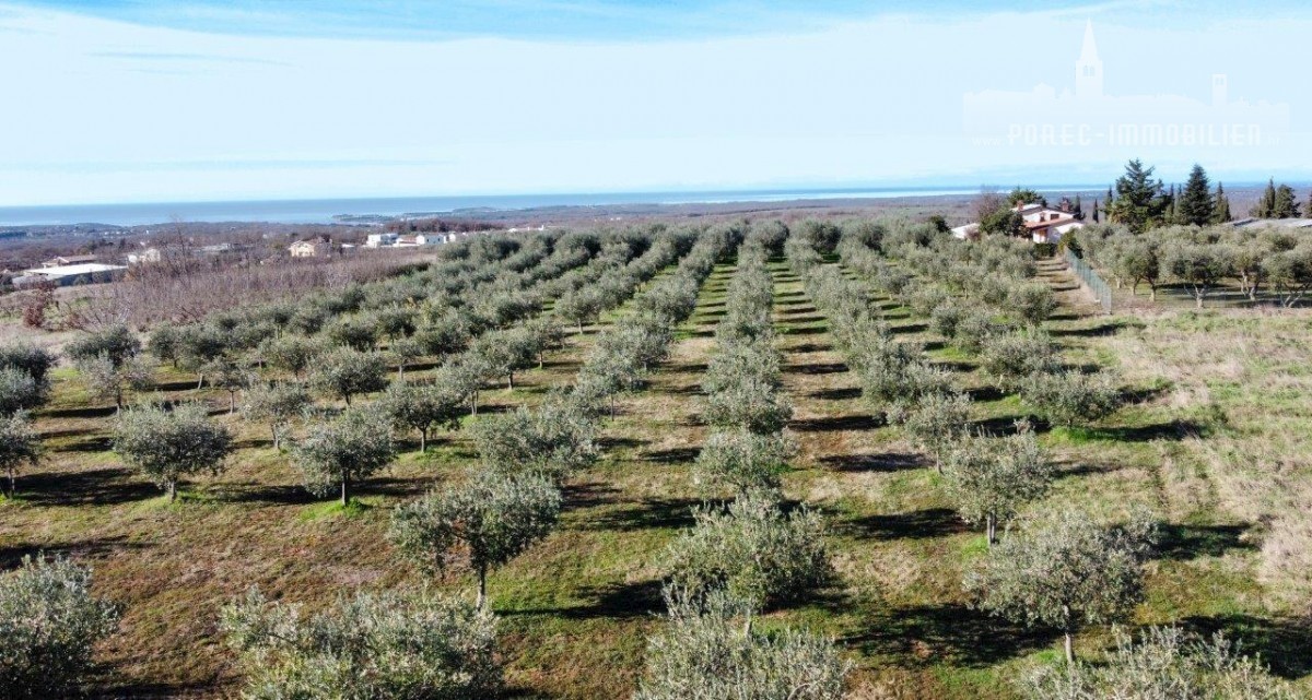 Pozemek Na prodej - ISTARSKA POREČ