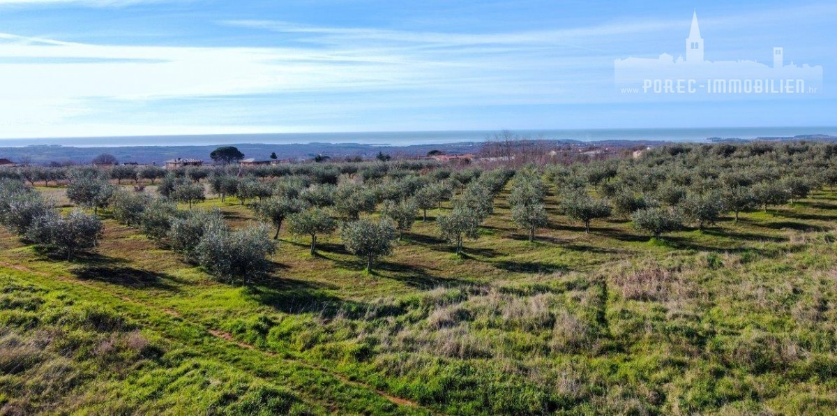 Pozemek Na prodej - ISTARSKA POREČ