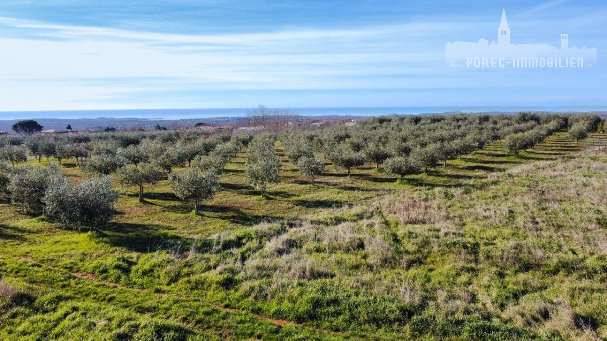 Pozemek Na prodej - ISTARSKA POREČ