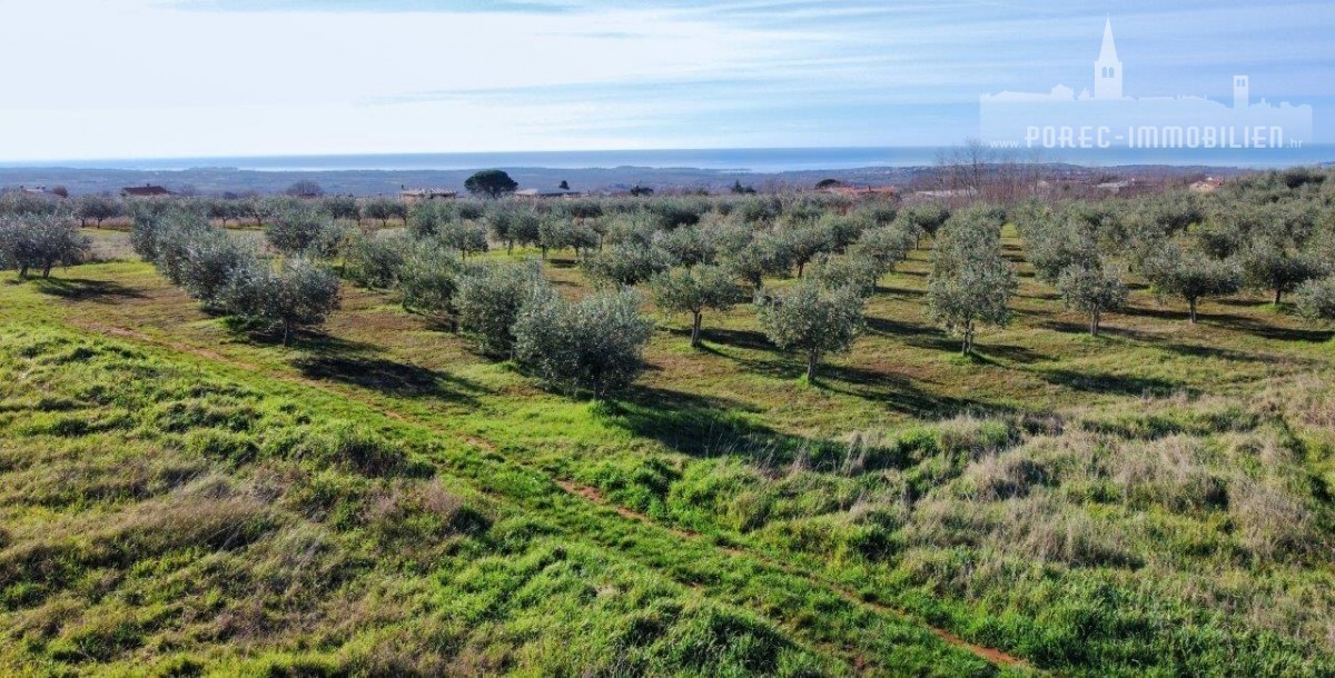 Pozemek Na prodej - ISTARSKA POREČ