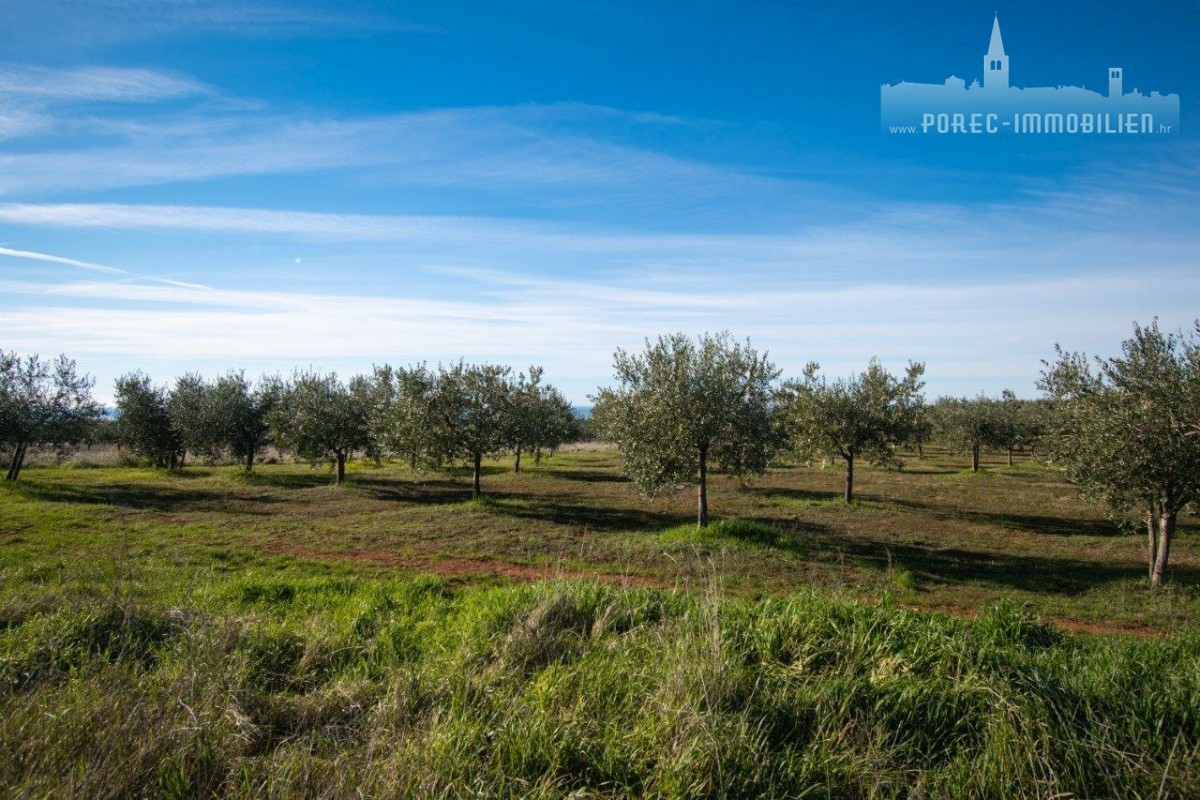 Pozemek Na prodej - ISTARSKA POREČ