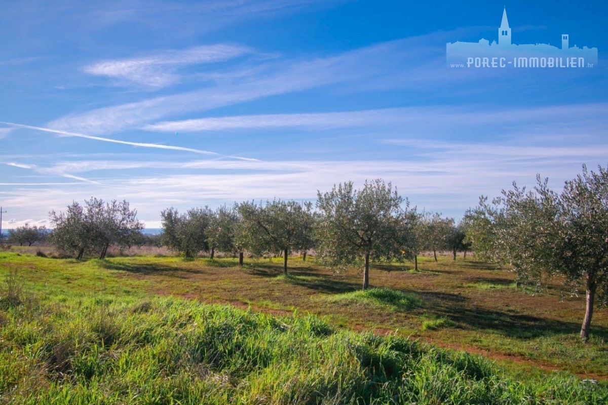 Pozemek Na prodej - ISTARSKA POREČ