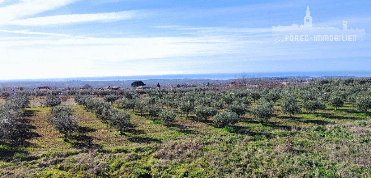 Pozemek Na prodej - ISTARSKA POREČ