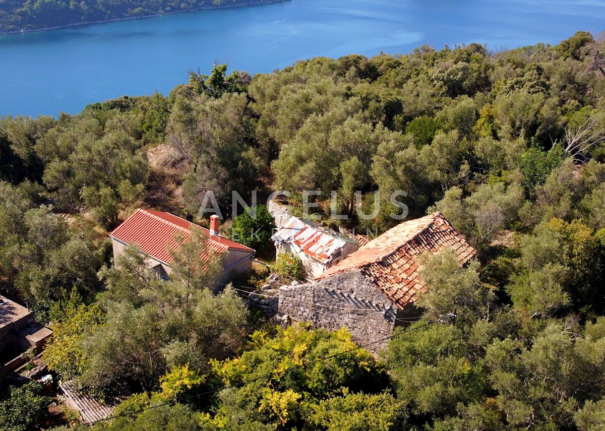 Dům Na prodej - DUBROVAČKO-NERETVANSKA DUBROVNIK