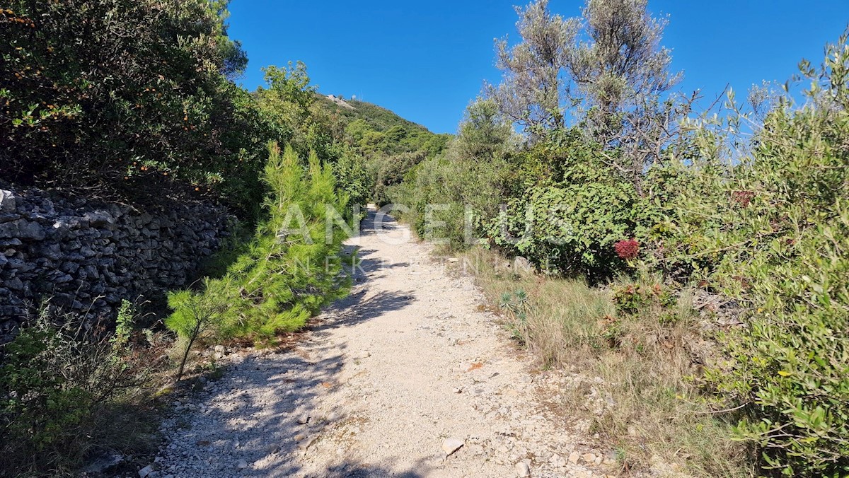 Casa In vendita - DUBROVAČKO-NERETVANSKA DUBROVNIK