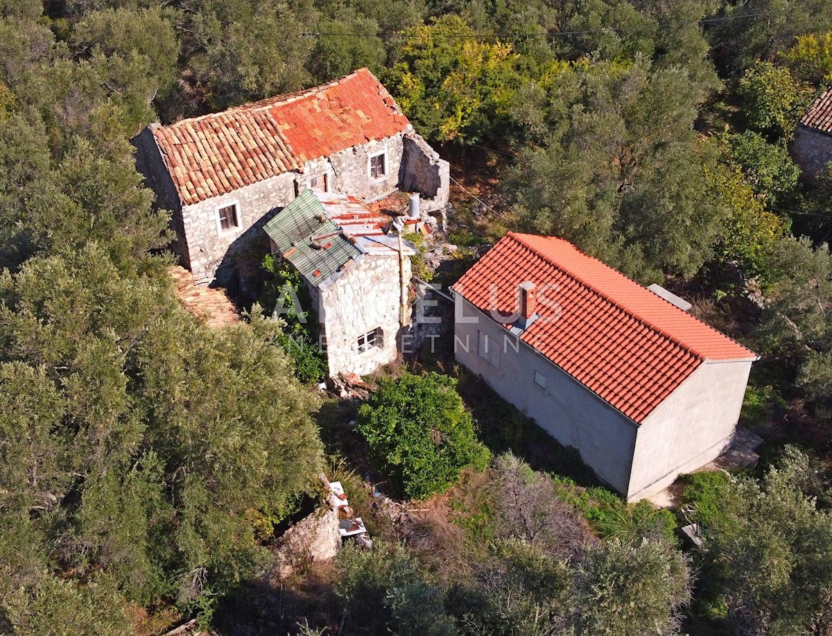 Haus Zu verkaufen - DUBROVAČKO-NERETVANSKA DUBROVNIK