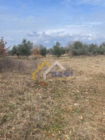 Pozemok na predaj 2410 m² – Barban