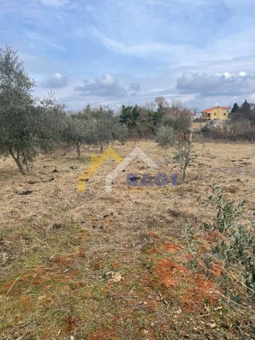 Terrain À vendre - Istarska Barban - foto 2/2