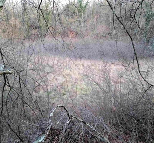 Parcela na predaj 1086 m² – Barban