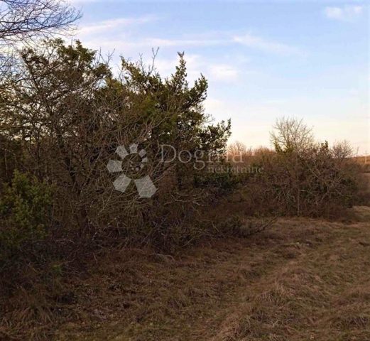 Land for sale 4870 m² – Barban
