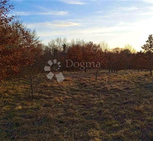 Pozemek na prodej 4598 m² – Barban