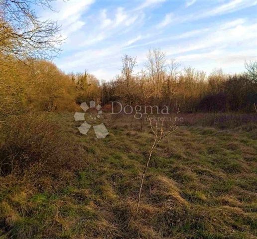 Land for sale 1730 m² – Barban