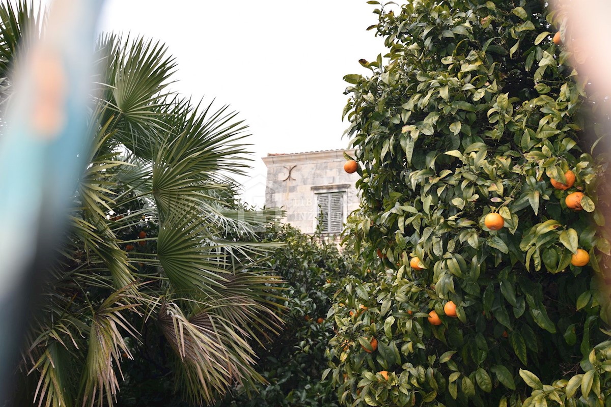 Haus Zu verkaufen - DUBROVAČKO-NERETVANSKA DUBROVNIK