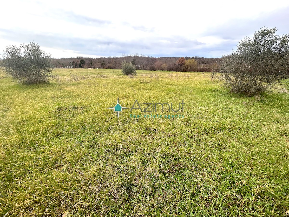 Terreno In vendita - ISTARSKA UMAG