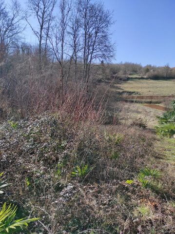 Parcela Na predaj - Istarska Karojba - foto 3/3