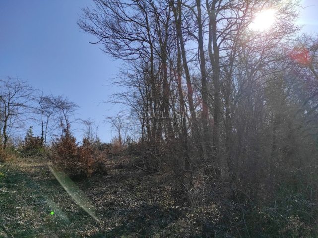 Parcela Naprodaj - Istarska Karojba - foto 4/4