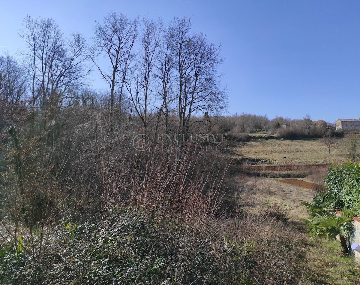 Terreno In vendita - Istarska Karojba - foto 2/3