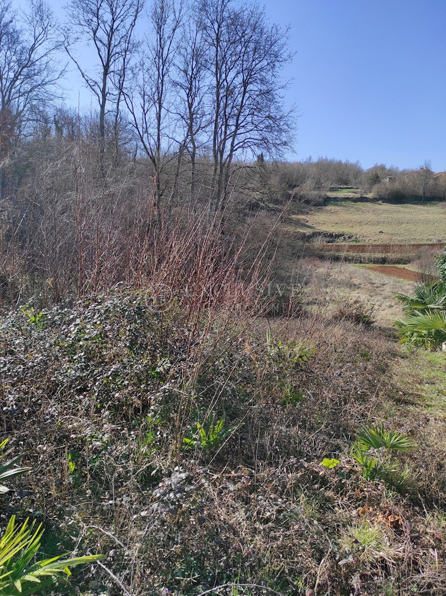 Terreno In vendita - Istarska Karojba - foto 3/3