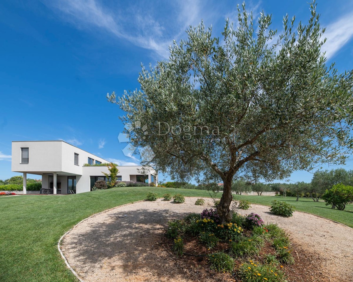 House For sale - ISTARSKA UMAG