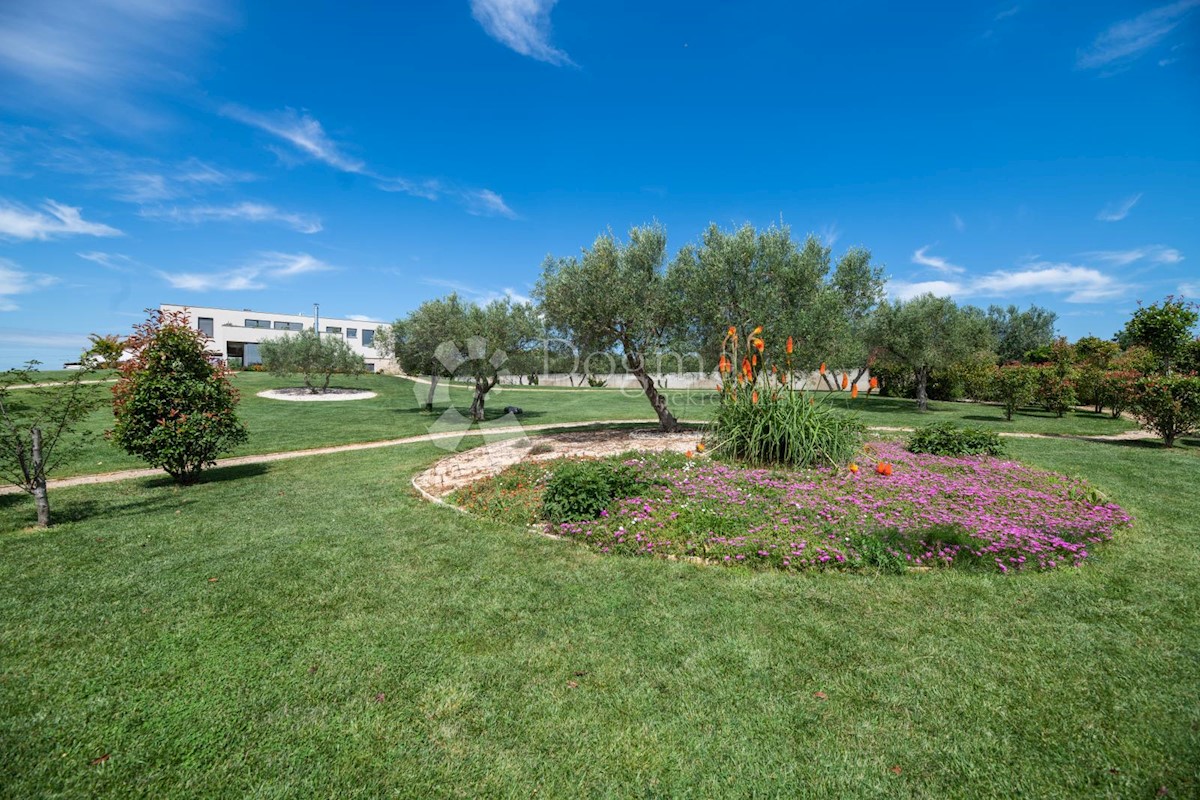 House For sale - ISTARSKA UMAG