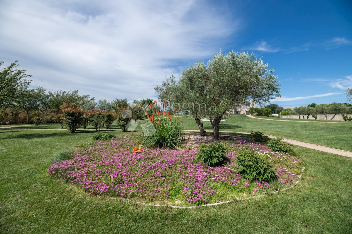 House For sale - ISTARSKA UMAG
