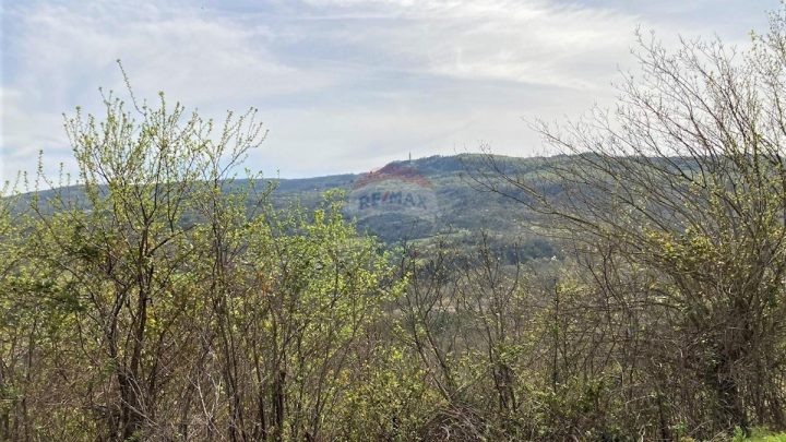 Dům Na prodej - Istarska Pićan - foto 5/6