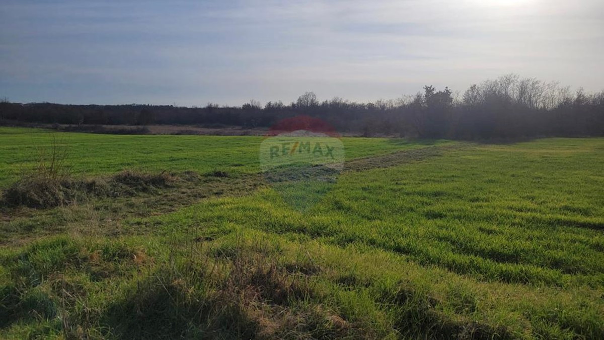 Land For sale - ISTARSKA POREČ