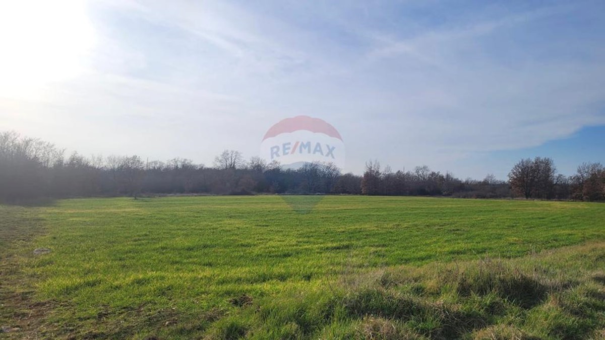 Land For sale - ISTARSKA POREČ